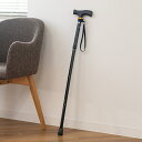 杖 折りたたみ エコノミーステッキ 折りたたみ杖 アルミ製 ( つえ ステッキ 軽量 折り畳み コンパクト 伸縮杖 長さ調節 介護用 高齢者 歩行補助 5段階調節 ストラップ付 介護用品 転倒防止 SGマーク 持ち運び リハビリ )【39ショップ】