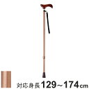 杖 ステッキ 伸縮杖 充実ステッキ アルミ製 AS-10 BR ( つえ ツエ 一点杖 伸縮 長さ調節 軽量 介護 歩行補助 高齢者 シンプル 介護用品 SGマーク ストラップ付 持ち運び コンパクト 10段階調節 歩行 補助 リハビリ )【39ショップ】