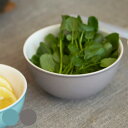 超軽量ボウル L 550ml 電子レンジ対応 食洗機対応 BOWL WITH LID ( 陶器 ボウル 調理 料理 キッチン ボール 耐熱 器 食器 レンジ対応...