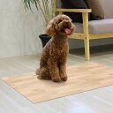 ペット用消臭防水シート 60cm×90cm ( ペット ペットマット 防水マット ペット用品 防水シート 消臭シート ゲージマット ペットトイレ 洗える 消臭機能 拭き取れる 食べこぼし 対策 介護用品 ) 【39ショップ】