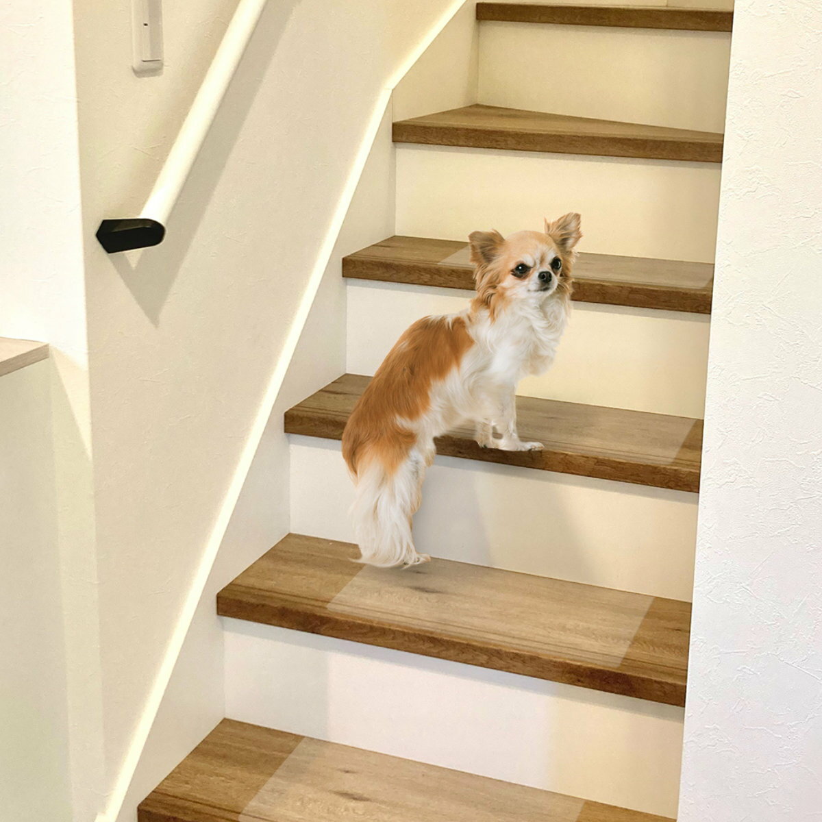 階段マット ペット 透明階段マット 滑り止め ( ペットマット 階段 マット 透明 クリア 滑らない ペット用 防水 防滑 貼ってはがせる カットできる 置くだ...