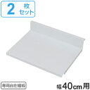 専用自在棚板 2枚組 幅40cm用 ( 棚板 棚 専用棚板 可動棚 パーツ オプションパーツ オープンラック 収納棚 収納ラック 収納 シェルフ ラック 本棚 ...