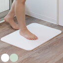 &NE バスマット ラバストーン 40×60cm 速乾 ( お風呂マット 足拭きマット お風呂 ラバストーン Lava 吸水 調湿 ラヴァストーン バスグッズ ...