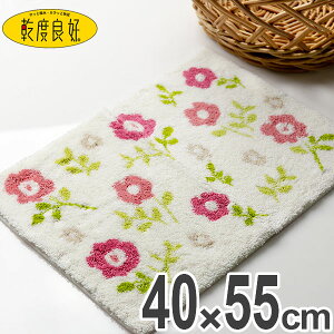 バスマット 乾度良好 カルポ 40×55cm ( 風呂マット お風呂マット 足ふきマット 足拭きマット 浴室マット 速乾 吸水 抗菌 防臭 滑り止め 日本製 縦40cm 横55cm バス 風呂 バスグッズ お風呂グッズ バス用品 お風呂用品 )