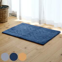 バスマット 乾度良好 リッカ 50×70cm 大判 速乾 ( お風呂マット 足拭きマット お風呂 バスグッズ 浴室マット 玄関マット 吸水 抗菌 防臭 洗濯OK...