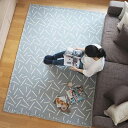 ラグ 洗える 140x200cm スパイスインテリアマット スプレー ( カーペット 絨毯 LH17669 リビング フロアマット 寝室 ベッドサイド ソファー...