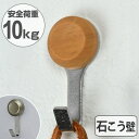 フック ニコピンフック ダブル 石膏ボード用 ピンタイプ ( ピンフック 石膏ボード ベニヤ 石膏 壁 石膏ボード壁用 石こうボード ベニヤ壁 収納 用 強力 ...