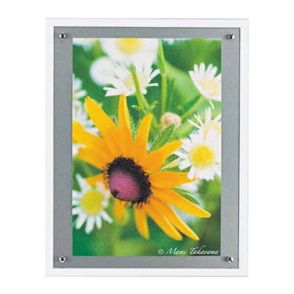 インテリアアート　高山マミ　ナチュラルフラワー　02 （ 送料無料 アートパネル 壁掛け 壁飾り アート アートデコ ウォールアート 絵画 インテリア 美術品 おしゃれ 引越 祝い ） 【5000円以上送料無料】