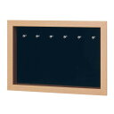 コレクションケース 47.9×32.9cm 壁掛け カバー扉 アクセサリー 収納 L406 ( ケース アクリル ボックス ディスプレイ 保管 透明扉 扉タイプ...