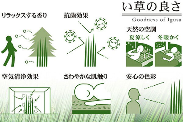 畳 国産 ユニット畳 い草 畳マット 草 約85×85cm 6枚セット い草4層 3畳 （ ラグ ...