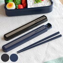 お箸セット 引きフタ箸箱セット メタリックスタイル 19.5cm ( お箸 箸箱 食洗機対応 抗菌 スライド式 男子 日本製 箸箱セット 19.5センチ 食洗機...