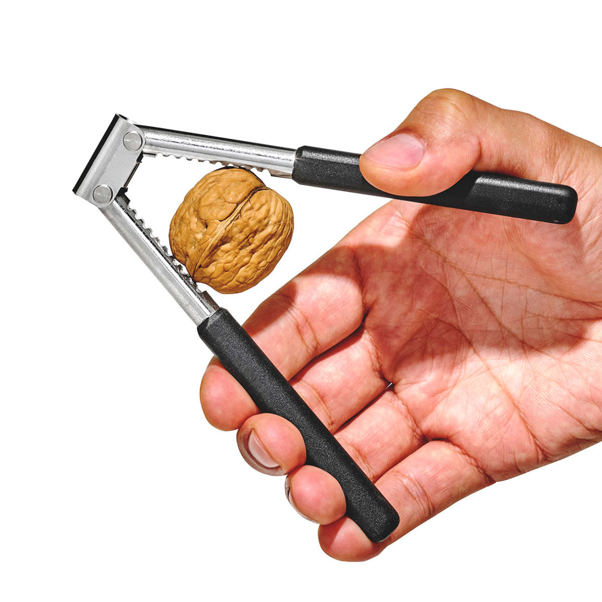 OXO աɡʥåĥå Good Grips   ̳ ߳ ̳  óγ̳ ƥ쥹 ...