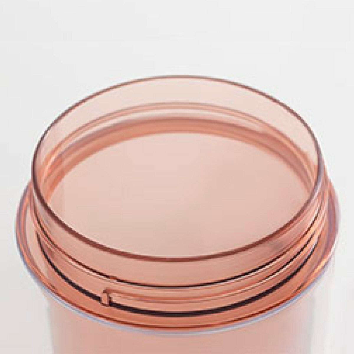 ウォーターボトル クリアボトル デイリーボトル 480ml （ 直飲み 耐熱 マイボトル クリア ボトル 軽量 持ち手付き 目盛り付き 目盛り 軽い スポーツ飲料 ジム 常温 シンプル 持ち運び 透明 ）【39ショップ】