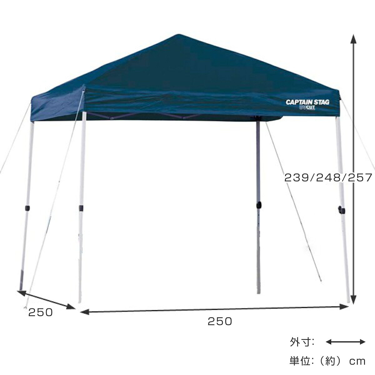インテリアパレットのクイックシェード UVカット キャリーバッグ付 2.5m×2.5m （ キャプテンスタッグ テント ワンタッチタープ CAPTAIN STAG アウトドア 5人 4人 組立簡単 正方形 ） 【39ショップ】｜アングル3