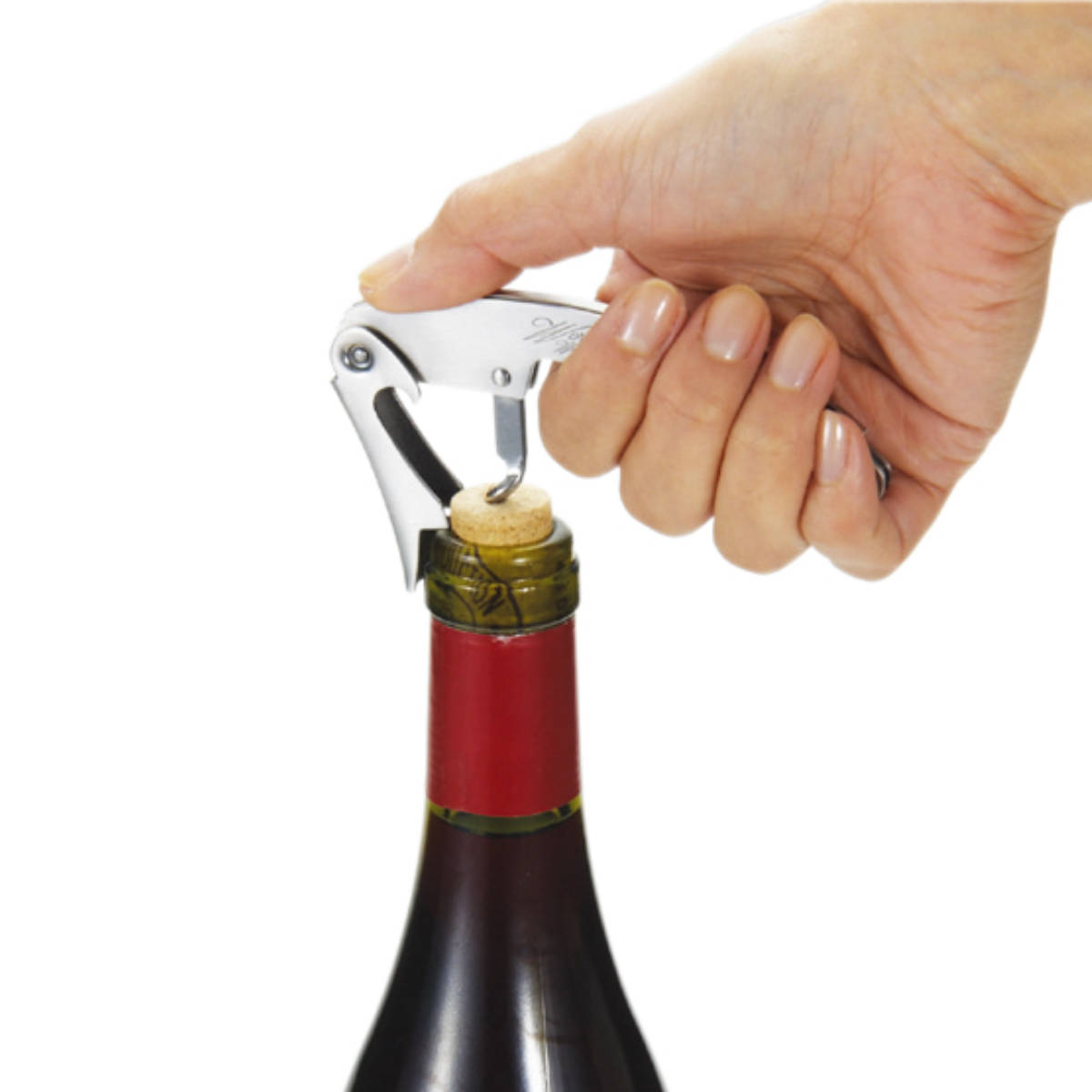 ����ꥨ���륯ȴ�� �٥��饤�� �ʥ����դ� �磻�󥪡��ץʡ� �� �ܥȥ륪���ץʡ� ���륯ȴ�� �������б� �磻�󥰥å� �磻�󻨲� ����ꥨ�ʥ��� �磻������ ����ꥨ ������塼 �磻�� �����ѥ� ���륯 ȴ�� �������å� �� ��39����åס�