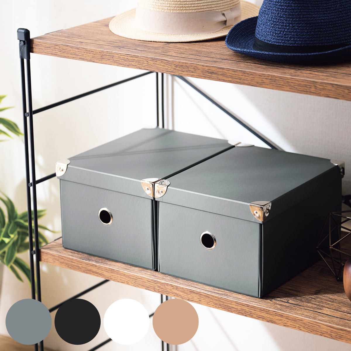 ��Ǽ�ܥå��� ���ȥ졼���ѥ�ץܥå��� M �դ��դ� ��20.5�߱���28�߹⤵15.5cm �� ��Ǽ �ܥå��� Ȣ �� ���� �ѥ�� �ե��դ� ��ʪ��Ǽ ��ʪ...