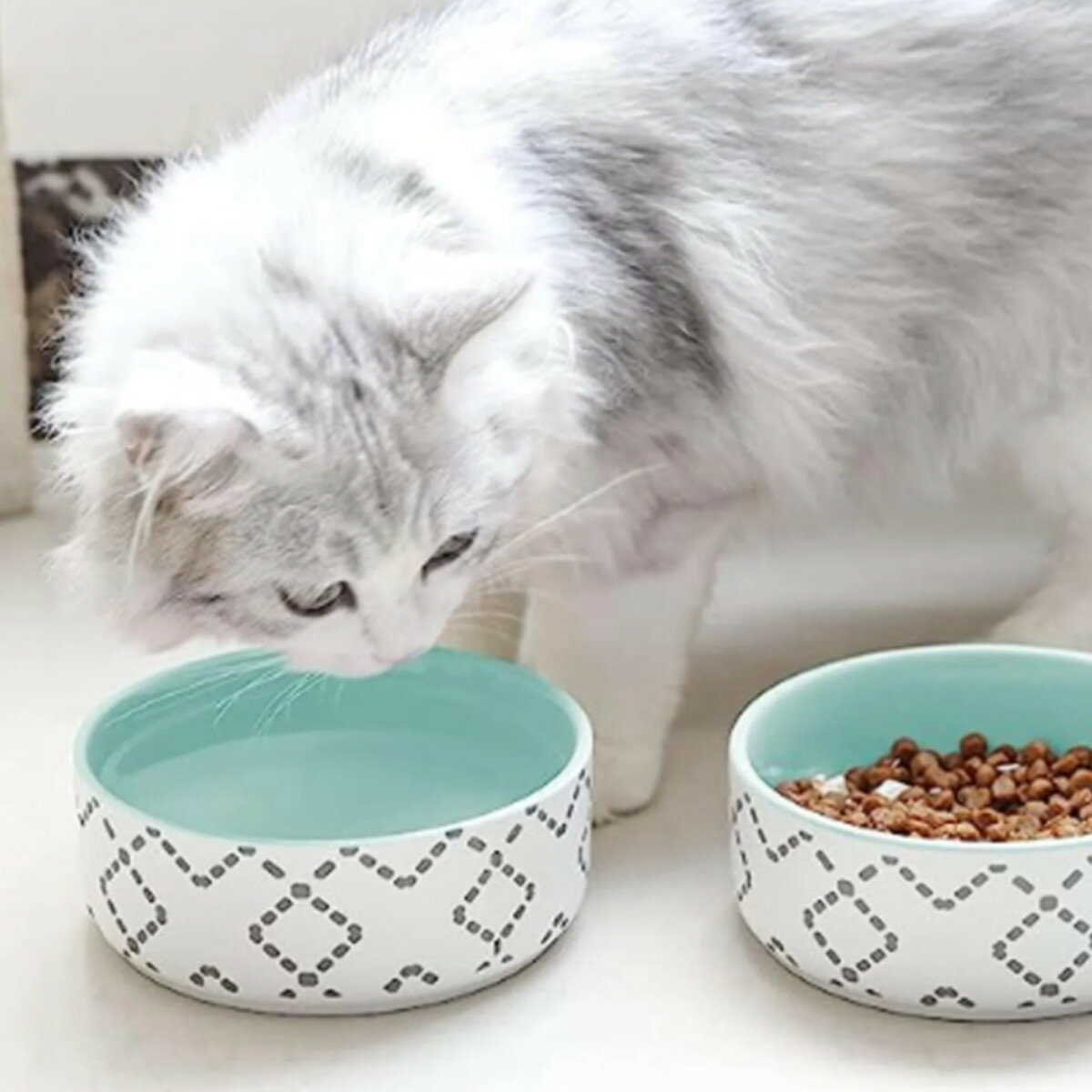 フードボウル 北欧ボウル 2個入り 犬 猫 （ ペットボウル 2個 ペット皿 犬用 猫用 ペット用 餌皿 エサ皿 食べやすい ペットフードボウル ペット用食器 えさ入れ 北欧風 おしゃれ ペット用品 ）【39ショップ】のサムネイル