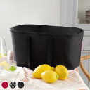クーラーバッグ reisenthel ライゼンタール COOLERBAG ( 保冷バッグ 20L ソフトクーラー 保冷保温 軽量 折りたたみ エコバッグ お買い...