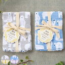 キッチンクロス コニー 2枚入 ( ディッシュクロス ふきん 綿100% 正方形 30cm 吸水 台拭き 水切りマット 食器拭き コットン 綿 ワッフル生地 お...