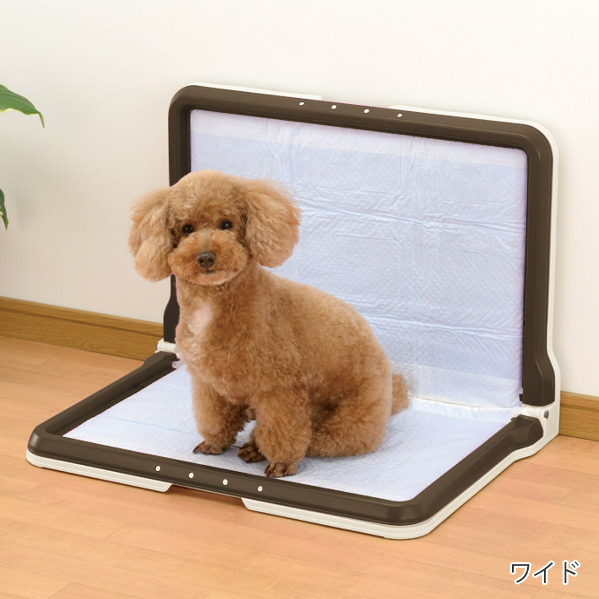 楽天市場】リッチェル しつけ用ステップ l型トレー ワイドの通販