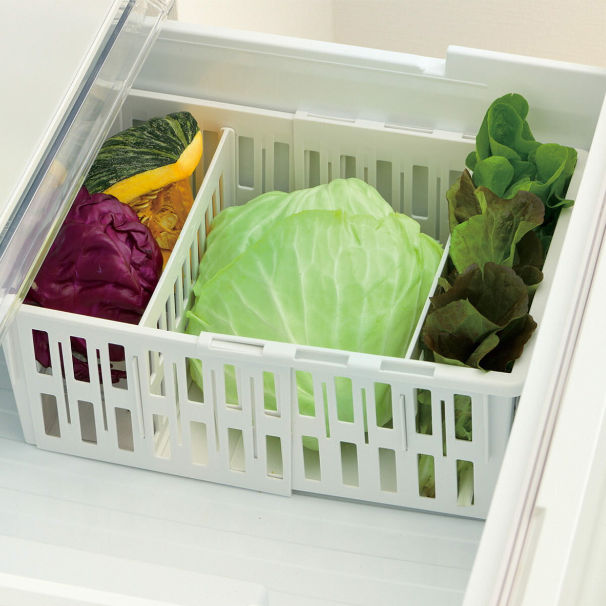 ��¢�˼�Ǽ �ȥȥ� ��ڡ������ ���̥��ȥå������� �쥮��顼 �� ���� ����˼�Ǽ ��¢�� ����� ����˥������ ��¢�˥������ ��ڼ� ��Ǽ ��Ǽ������...