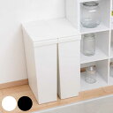 ゴミ箱 SOLOW 40L スリム ワイド ソロウ 袋の交換が楽なダストボックス スリム ワイド ( ごみ箱 40リットル ふた付き スリム 袋交換 簡単 分別 防汚加工 抗菌加工 キャスター付き シンプル ホワイト ブラック 日本製 )【39ショップ】