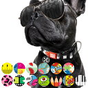 首輪 小型犬 XS マックス&モーリー 迷子札 犬 ( 犬用首輪 ペット用 スマートID 散歩 いぬ ドッグ 軽量 丈夫 速乾 おしゃれ かわいい デジタル迷子...