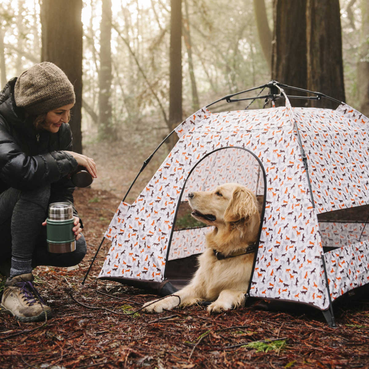 �ƥ�� �ڥå� P.L.A.Y. �����ȥɥ����꡼�� �����ȥɥ��ƥ�� �� ǭ ������ �� �ڥåȥƥ�� �ڥå��ѥƥ�� �ڥå��� ��Ω �ɿ� ���� ǭ�� �ڥå����� �����ȥɥ� �������� ����� � ���� ������ �ҳ� �۵޻� ����ѥ��� �ˡ�39����åס�