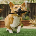おもちゃ 犬 P.L.A.Y. ロープトイ S タグ 噛む ( ペットトイ ペットおもちゃ ペット用 犬用 ひっぱりおもちゃ ペット用品 ロープ なわ 投げる ...