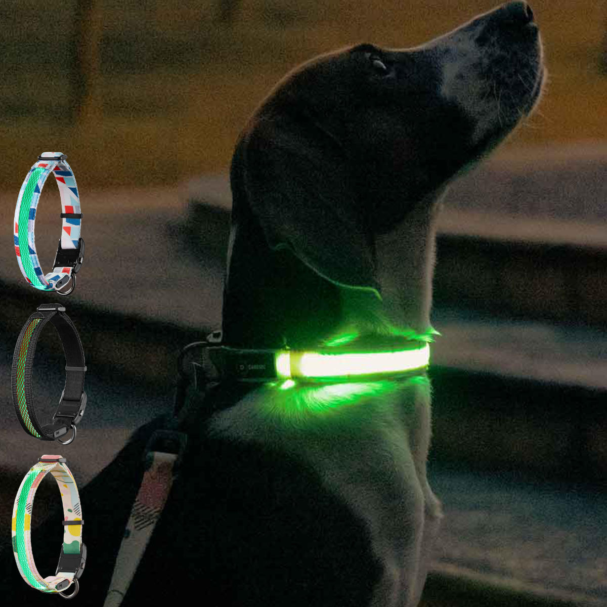   ɥåͥ LED M  饤   ѥ饤 뻶 ż LED ɿ 뤤 淿   ...