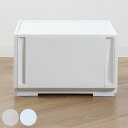 収納ケース 同色2個セット コンビネーションケース ミドルM 3924 幅39×奥行44.7×高さ24.1cm ( 収納ボックス 引き出し 約 奥行45 収納 クローゼット 日本製 積み重ね 衣装ケース 衣類収納 プラスチック ホワイト ケース おしゃれ )【39ショップ】