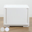 収納ケース 同色2個セット コンビネーションケース ミドルL 3930 幅39×奥行44.7×高さ29.9cm ( 収納ボックス 引き出し 約 奥行45 収納 ...