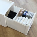コンビネーションケース トレー 収納ケース 専用トレー ( インナートレー オプション パーツ 専用 収納 小物 小物入れ 小物収納 小物ケース インナーボックス トレイ ケース ボックス 仕分け 整理整頓 整理 整頓 片付け )【39ショップ】