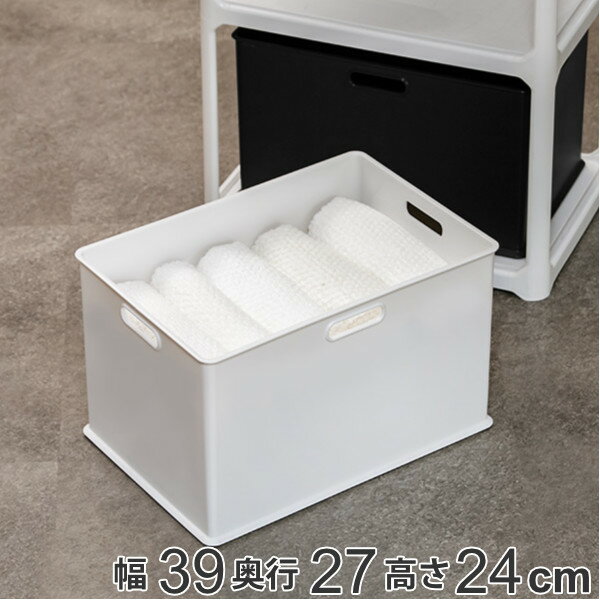 収納ボックス 収納ケース ナチュラ インボックス L プラスチック 日本製 （ 小物入れ 収納 カラーボックス インナーボックス おもちゃ箱 コンテナ 積み重ね スタッキング 小物収納 インナーケース ケース ボックス ）【39ショップ】のサムネイル