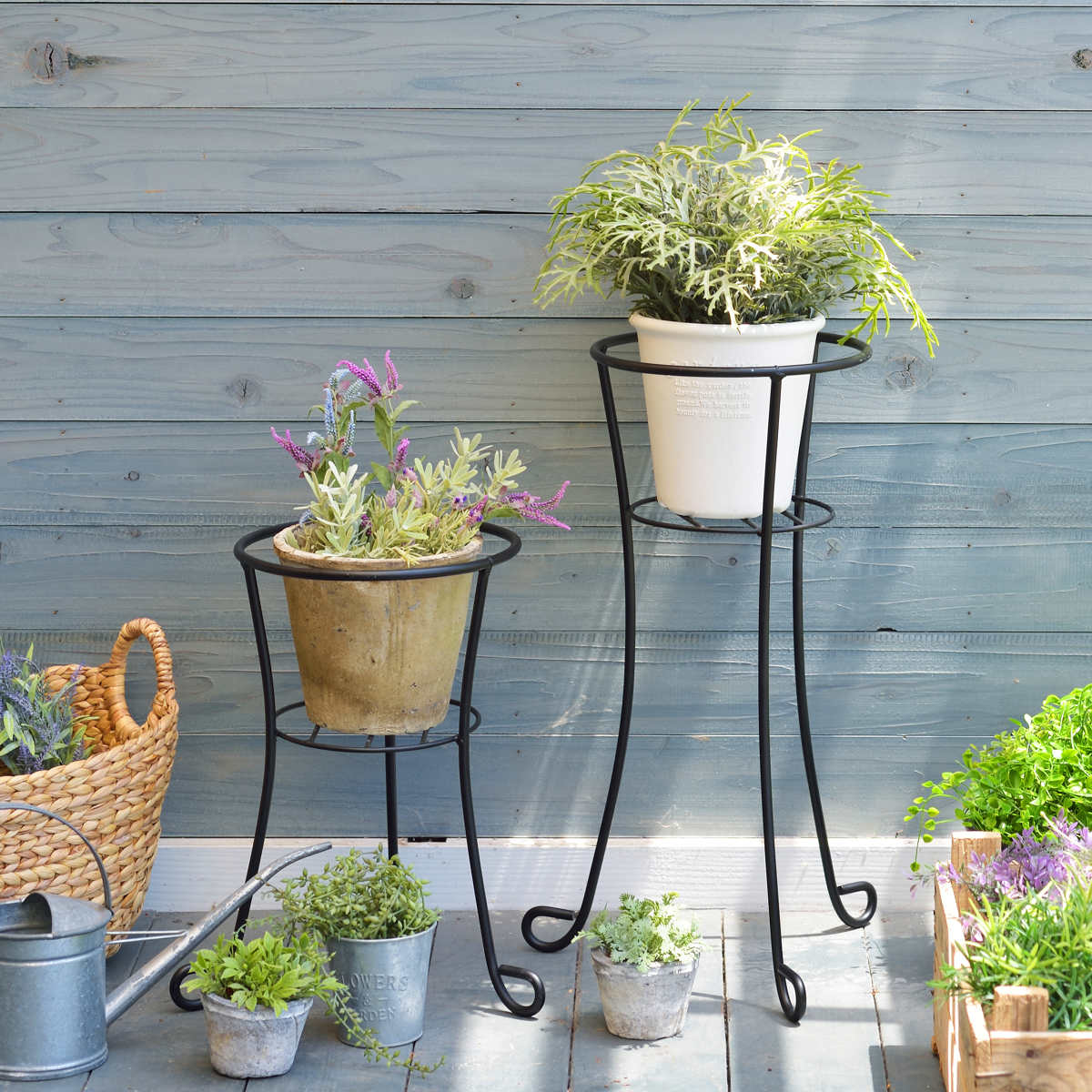 �ץ�󥿡�������� �ե��ܡ��� �⤵42cm �� �ե�������� ���� ������ �ե� ������� �������� ����ȭ������� ȭ�֤� ��� ȭ�� �ץ�󥿡� ������� �ˡ�39����åס�