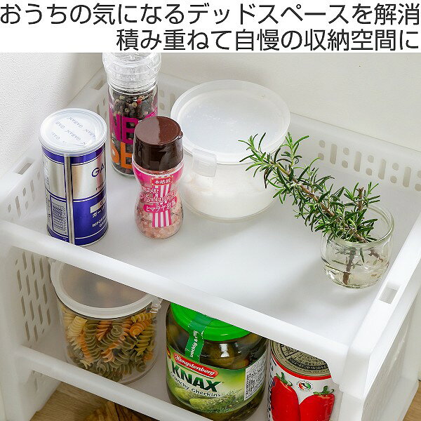 トレー M 幅36.3×奥行24.8×高さ6.3cm e-ラック 収納 （ トレイ 収納トレイ 収納ボックス 積み重ね スタッキング 収納ラック 浅型 ラック プラスチック 調味料ラック シンク下収納 キッチン ランドリー A4 デスク下 ストッカー ） 【39ショップ】 interior-palette-10056821 インテリアパレット サンプル画像2