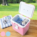 クーラーボックス 9L クールエース 9S プティ ( 保冷 クーラーBOX 保冷ボックス クーラーバッグ 冷蔵ボックス 9リットル クーラー ボックス BOX...