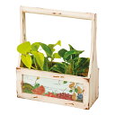 ガーデニング ガーデンボックス 幅37×奥行12×高さ37cm ( ガーデニング用品 園芸用品 ガーデン雑貨 園芸 インテリア 庭 箱 フラワーポット 鉢 プラ...