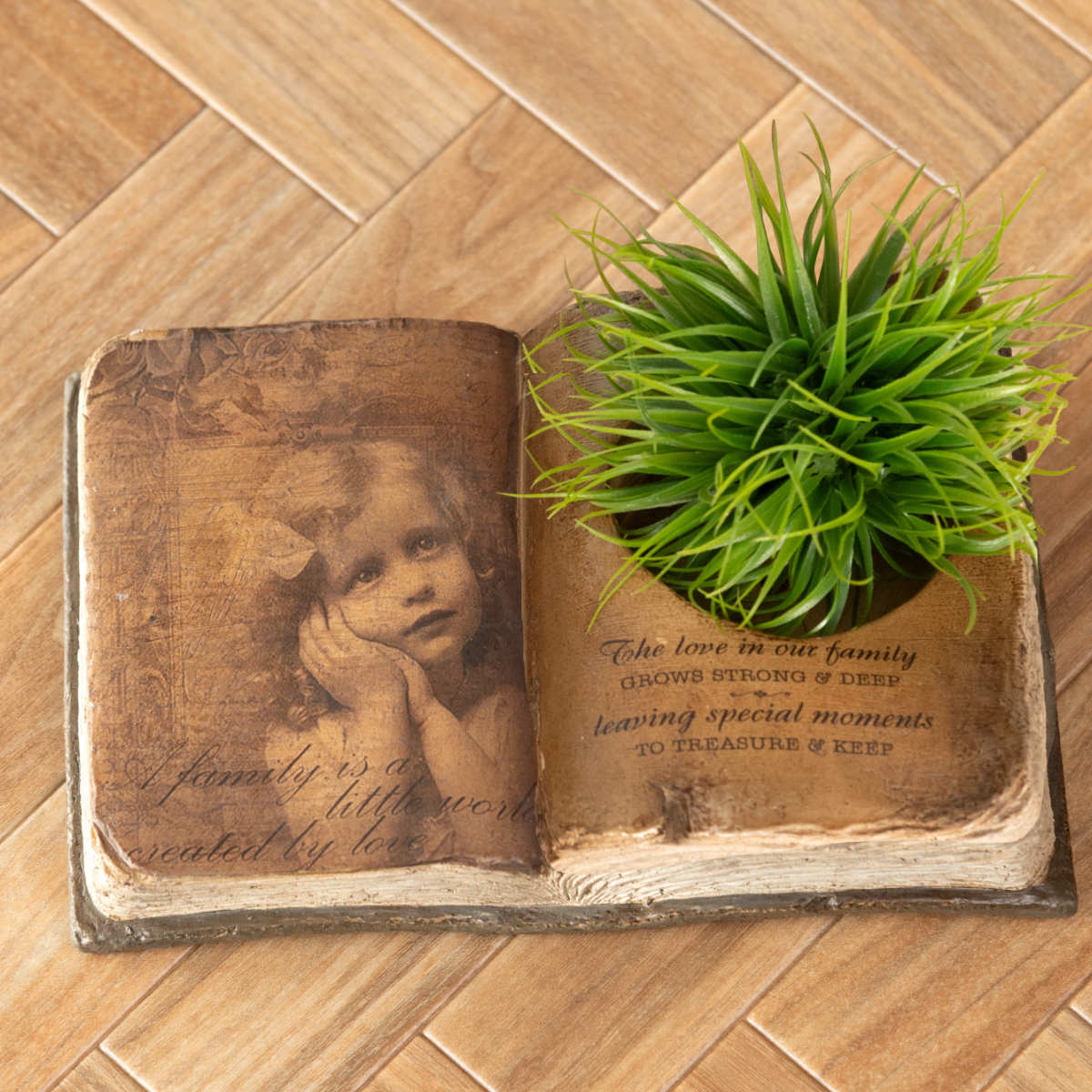 プランター グリーンポット 植木鉢 多肉植物 ブック （ フラワーポット 家 プラントポット プランター..