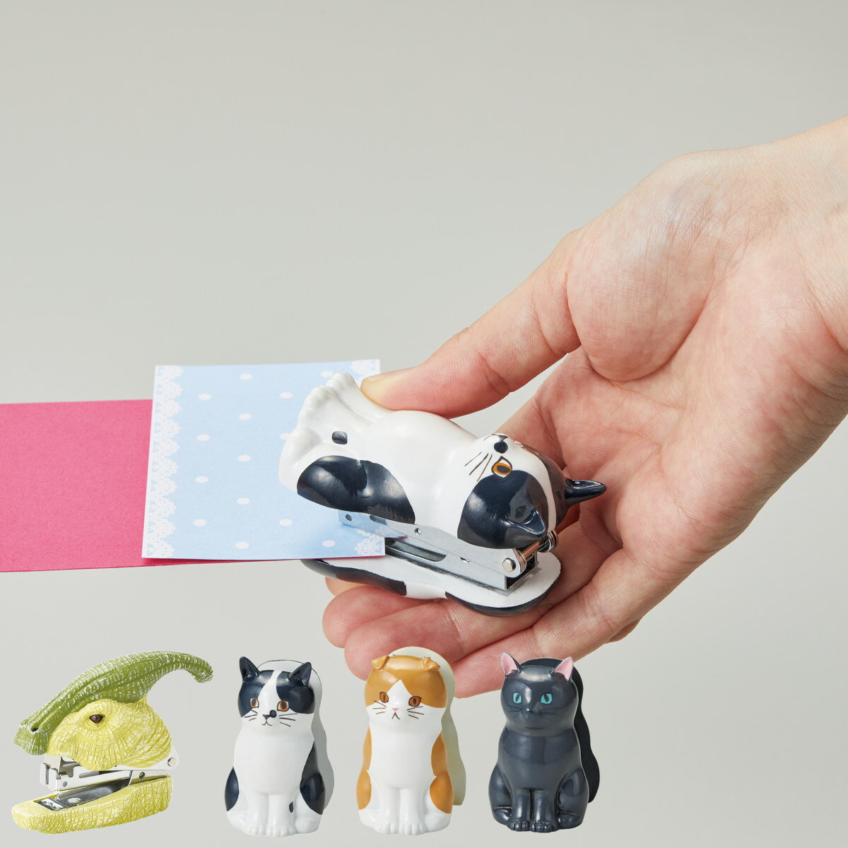 ���ơ��ץ顼 �ۥå����� ��ε ���� �ͥ� ʸ˼�� �� �ۥ����� ��̳���� ���ե��� ʸ�� ��� ���� ���� �ץ쥼��� ������ �������� ���ơ�����ʥ꡼ ��...