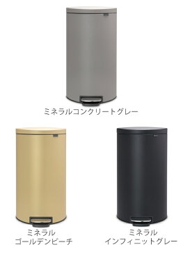 ゴミ箱 ブラバンシア brabantia フラットバック 30リットル ペダル式 ふた付き （ 送料無料 ごみ箱 キッチン スリム フタ付き ごみばこ カウンター 下 おしゃれ 袋 見えない ペダル 30L ダストボックス ）【5000円以上送料無料】