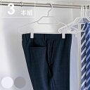 ハンガー モノクローゼット 幅41.5cm シャツハンガークリップ 3本組 ( 衣類ハンガー 3本セット 収納 衣類収納 衣類 洗濯 スリム クリップ 日本製 ...