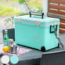 クーラーボックス 33L ホリデーランドクーラー ハードタイプ ( 送料無料 保冷 クーラーBOX 保冷ボックス クーラーバッグ 冷蔵ボックス 33リットル ク...