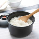 おひつ 3合 真空おひつ ポンプ付き ( 電子レンジ対応 食洗機対応 真空保存 蓋付き お櫃 おひつごはん 保存容器 レンジ対応 御櫃 おひつご飯 めしびつ 食...