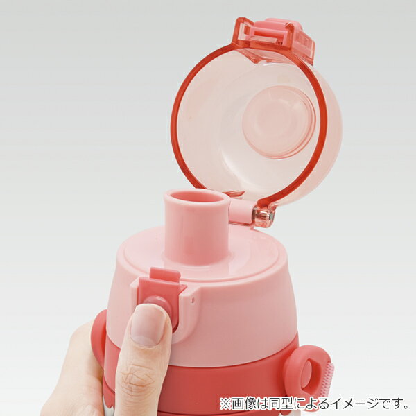 水筒 ステンレス 直飲み 3Dロック付ダイレクトボトル すみっコぐらし 480ml 子供 （ 保冷 幼稚園 保育園 3D キッズ キャラクター ワンプッシュ 直飲みステンレス ステンレス製 子供用水筒 ボトル キャラ ）【39ショップ】