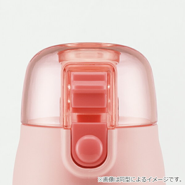 水筒 ステンレス 直飲み 3Dロック付ダイレクトボトル すみっコぐらし 480ml 子供 （ 保冷 幼稚園 保育園 3D キッズ キャラクター ワンプッシュ 直飲みステンレス ステンレス製 子供用水筒 ボトル キャラ ）【39ショップ】