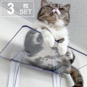 キャットステップ 3枚セット Cat Steps 壁 ワイドステップ 透明 クリア キャットウォーク ( 送料無料 キャットタワー ネコ ステップ ねこ 猫 壁...
