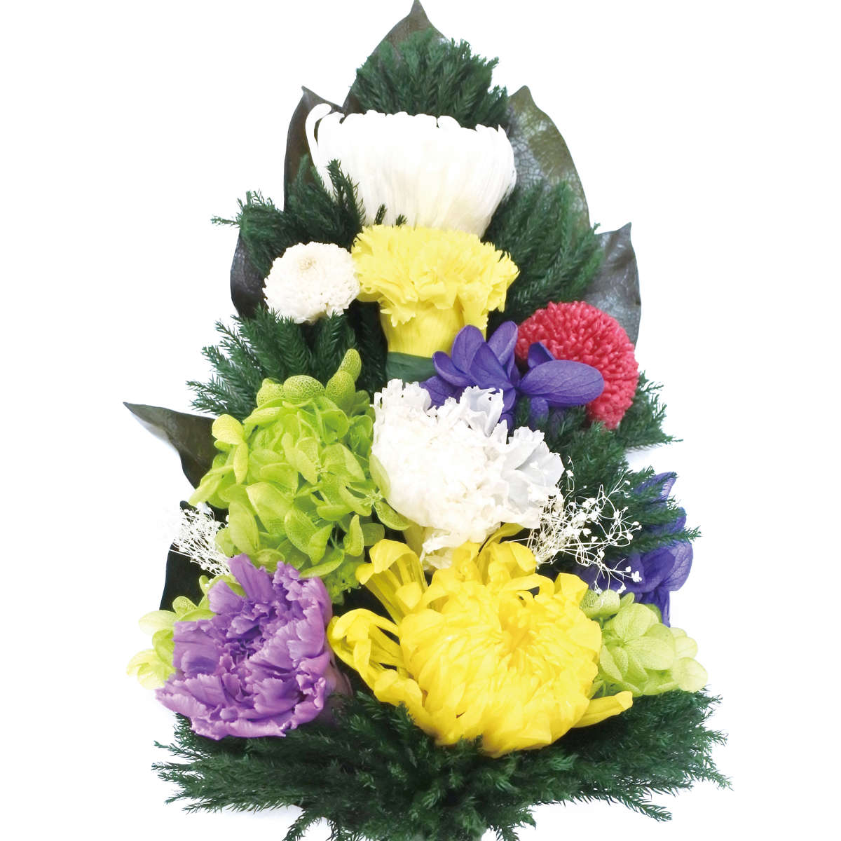 ʩ�� ������ �ץꥶ���֥�ʩ�� ������ �ץꥶ���֥ɥե� �� ¤�� �֥ꥶ���ɥե� �Ϥ�ʤ� ʩ�� ������ �� �ե������ե� ������ ���� �涡�� �Ϥ�ʤ��� �崹������ �� �͹� ���� ����� ���� ˡ�� ˡ�� ʩ�� �ˡ�39����åס�