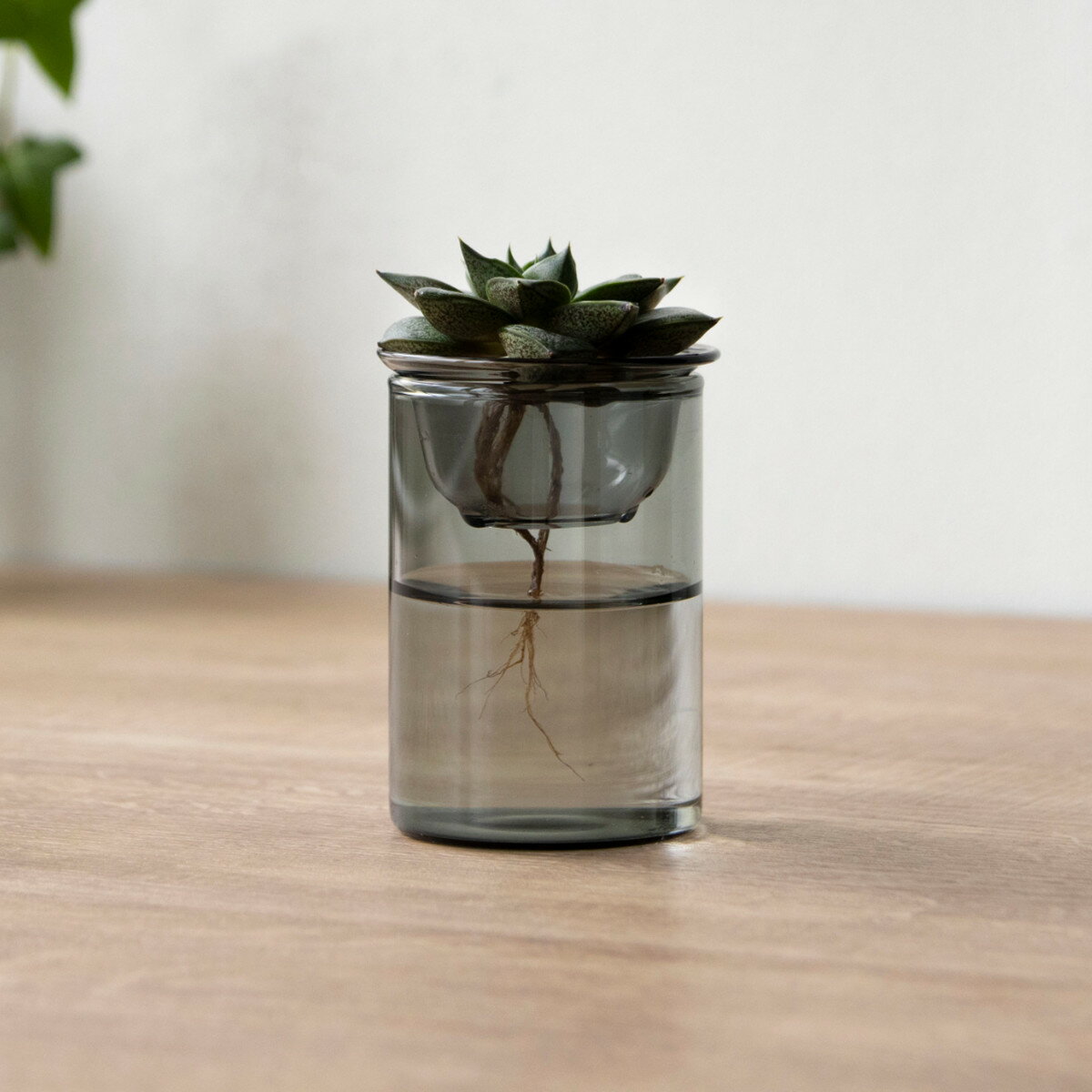 花瓶 MINI BULB VASE 水栽培ガラスベース 8.5cm 水耕栽培 （ 花器 ガラス おしゃれ フラワーベース 一輪挿し 花 グレー グリーン 栽培 ハーブ インテリア オブジェ ガラス製 飾る フラワーグラス 水栽培 ）【39ショップ】