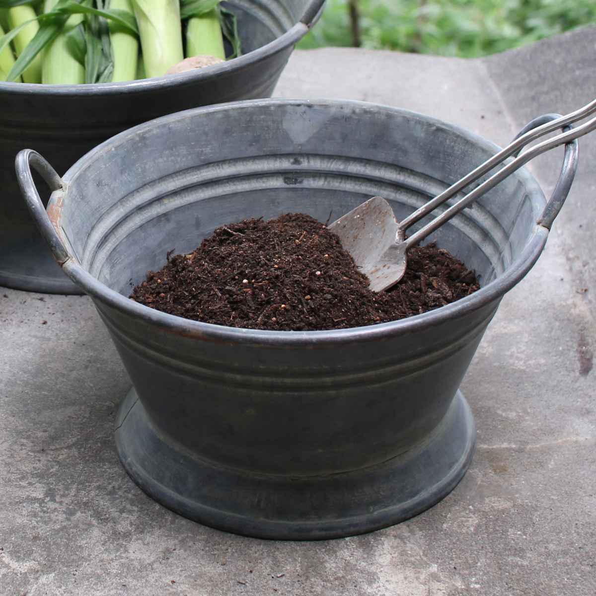 鉢 ブリキ ブリキハンドルバケツ S （ プランター プラントポット 植物用ポット 鉢カバー ブリキポット ブリキ鉢 植物 花 ドライフラワー 観葉植物 多肉植物 園芸 インテリア 収納 丸型 PVCポット付き ）【39ショップ】のサムネイル